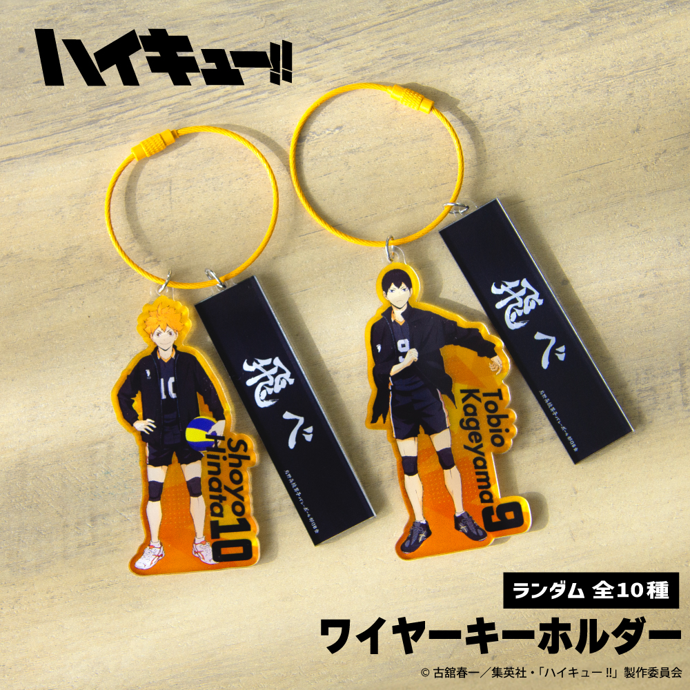 ハイキュー!!_ランダムワイヤーキーホルダー【コンプリートBOX