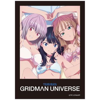 グリッドマン ユニバース_BIGタペストリー／宝多 六花 | 公式グッズ