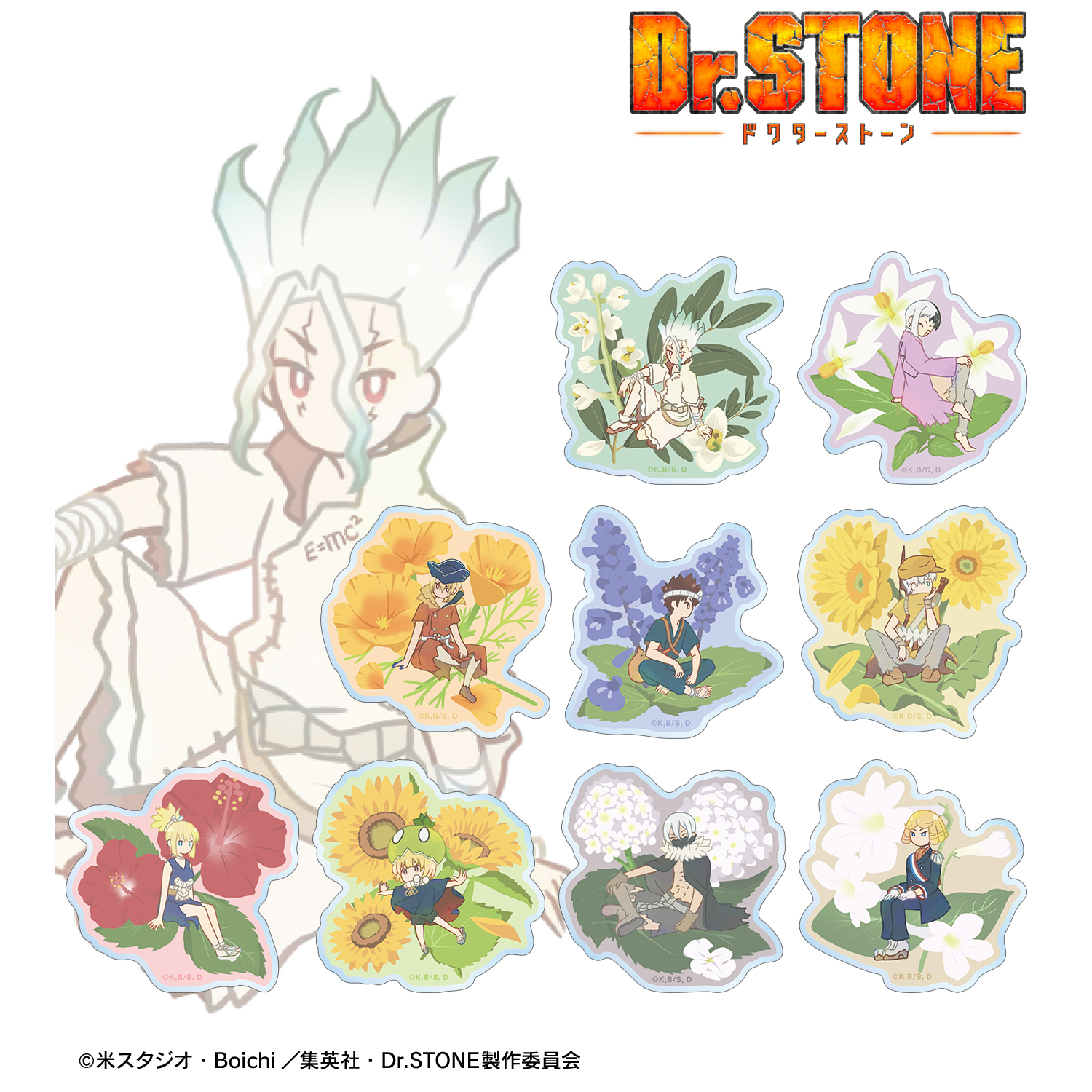 Dr.STONE_トレーディング Botania アクリルマグネット(単位/コンプリートBOX/9パック入り)