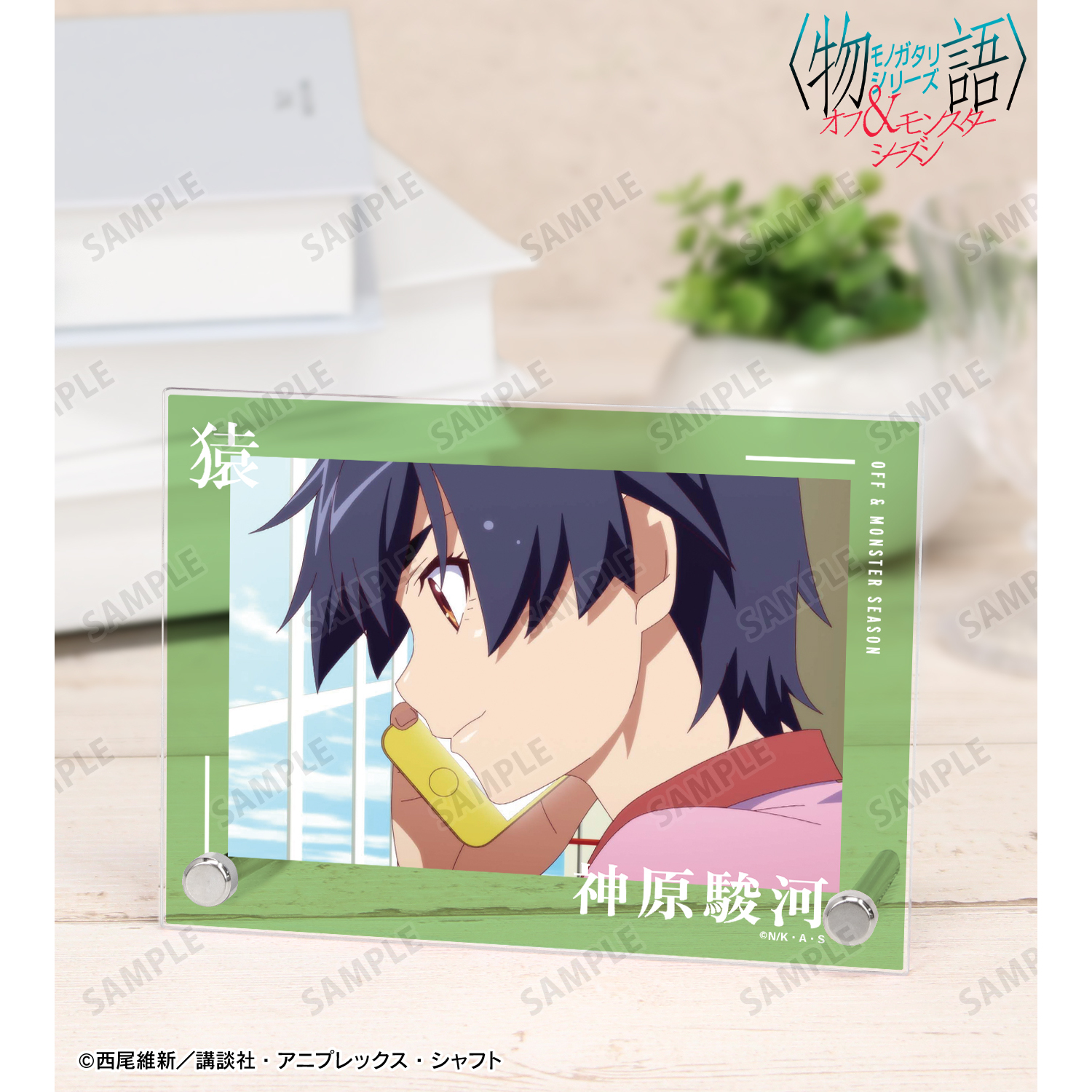 〈物語〉シリーズ オフ＆モンスターシーズン_神原駿河 場面写A6アクリルパネル