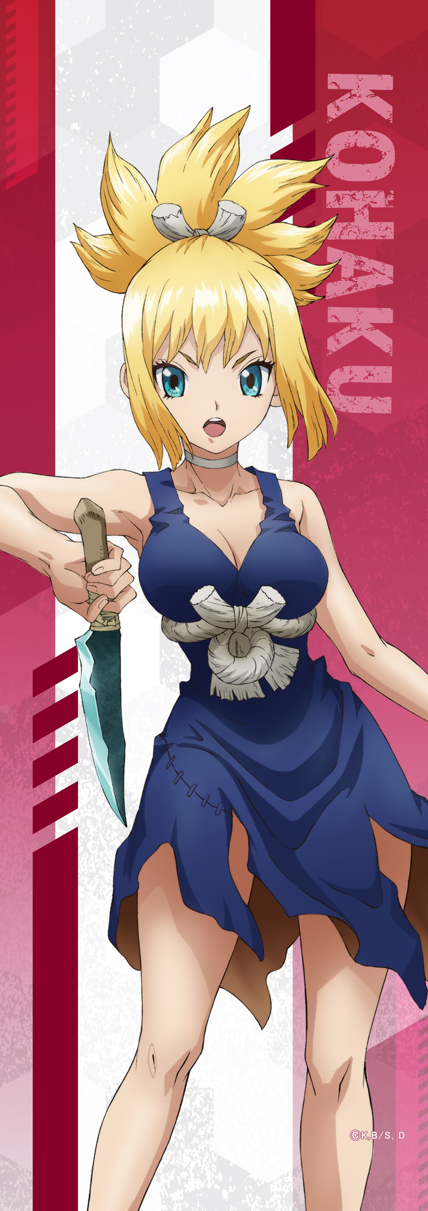 Dr.STONE_ミニタペストリー　コハク
