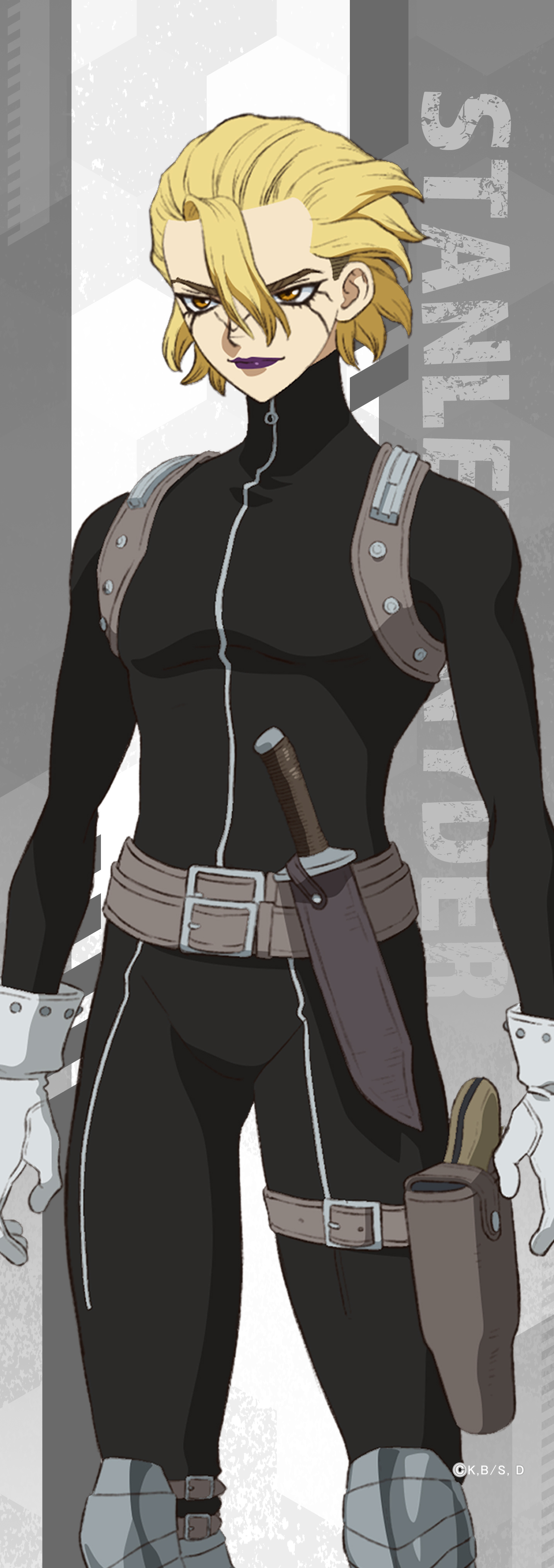 Dr.STONE スタンリー スタン 4571576725179受注生産】Dr.STONE ミニタペストリー スタンリー