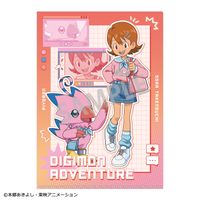 デジモンアドベンチャー_A4シングルクリアファイル_武之内空&ピヨモン