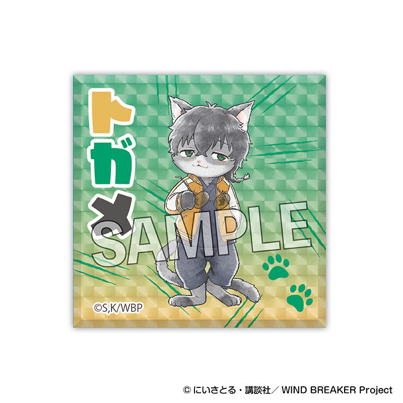 WIND BREAKER_ウィンド ブレイニャー　ギラギラブロック　十亀 条