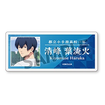 忘却バッテリー バースデーぬいぐるみ／清峰葉流火 | グッズ