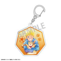 ナルト 少年編 アクリルキーホルダー 全9種 コンフォート済み グッズ