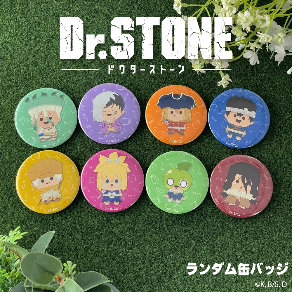 dr.stone ドクスト　スタンリー　特典　ミニフォト　缶バッジ　セット Dr.STONE トレーディングミニキャラ缶バッジ 温泉ver.(BOX