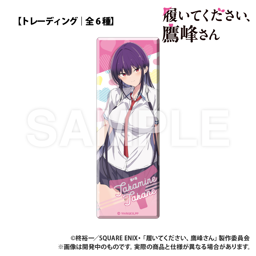 コンプリートセット】TVアニメ「履いてください、鷹峰さん」_