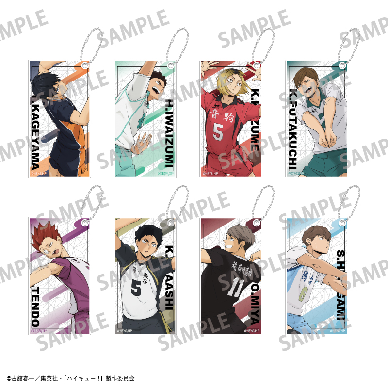 ハイキュー!!_トレーディングスリムキーホルダー／vol.2　【BOX／８個入り】