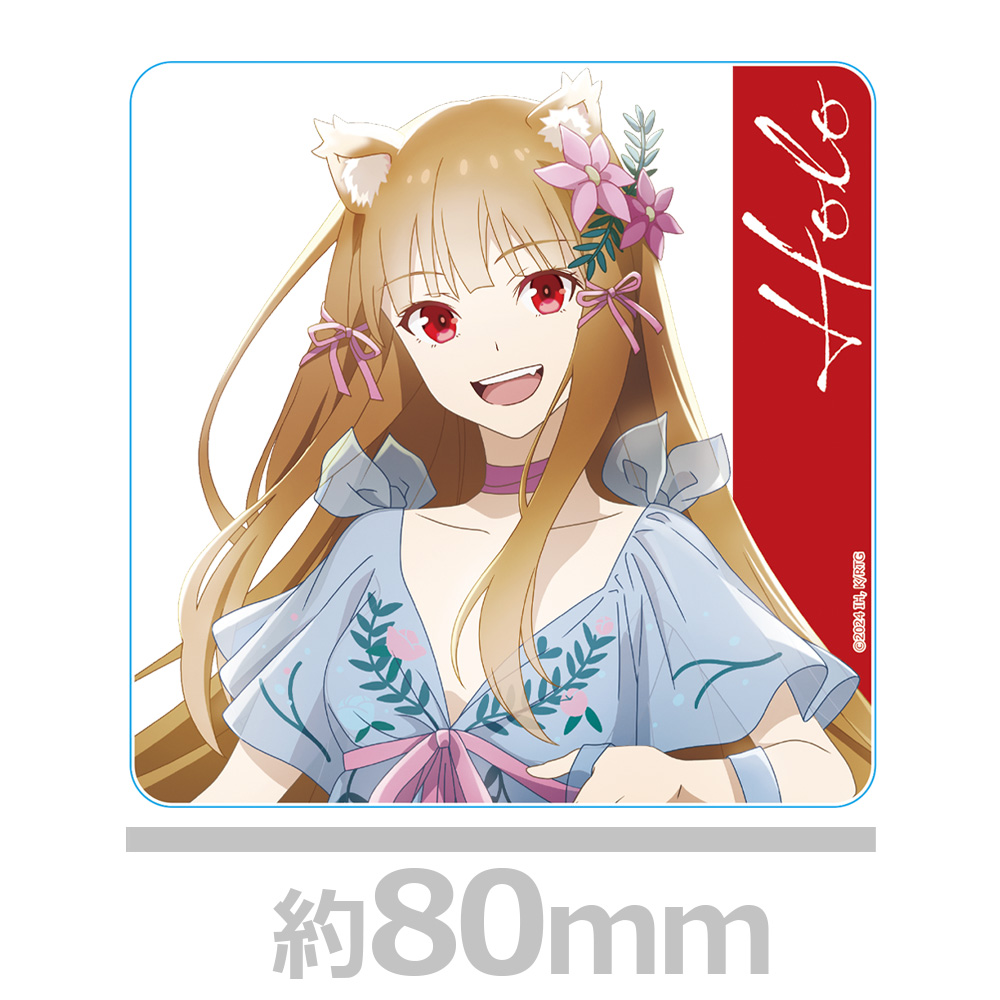 ホロライブ　アクリルコースター　セット　12個 アクリルコースター5種セット | ホロライブ Hololive