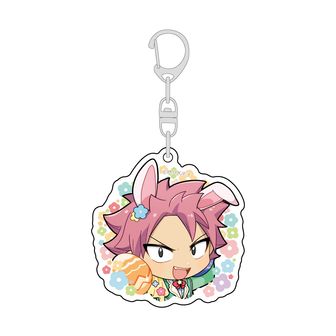 FAIRY TAIL（フェアリーテイル） | 公式グッズ・公式ライセンス商品