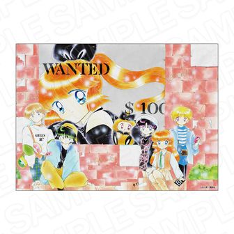 怪盗セイント・テール | 公式グッズ・公式ライセンス商品専門