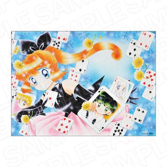 怪盗セイント・テール | 公式グッズ・公式ライセンス商品専門