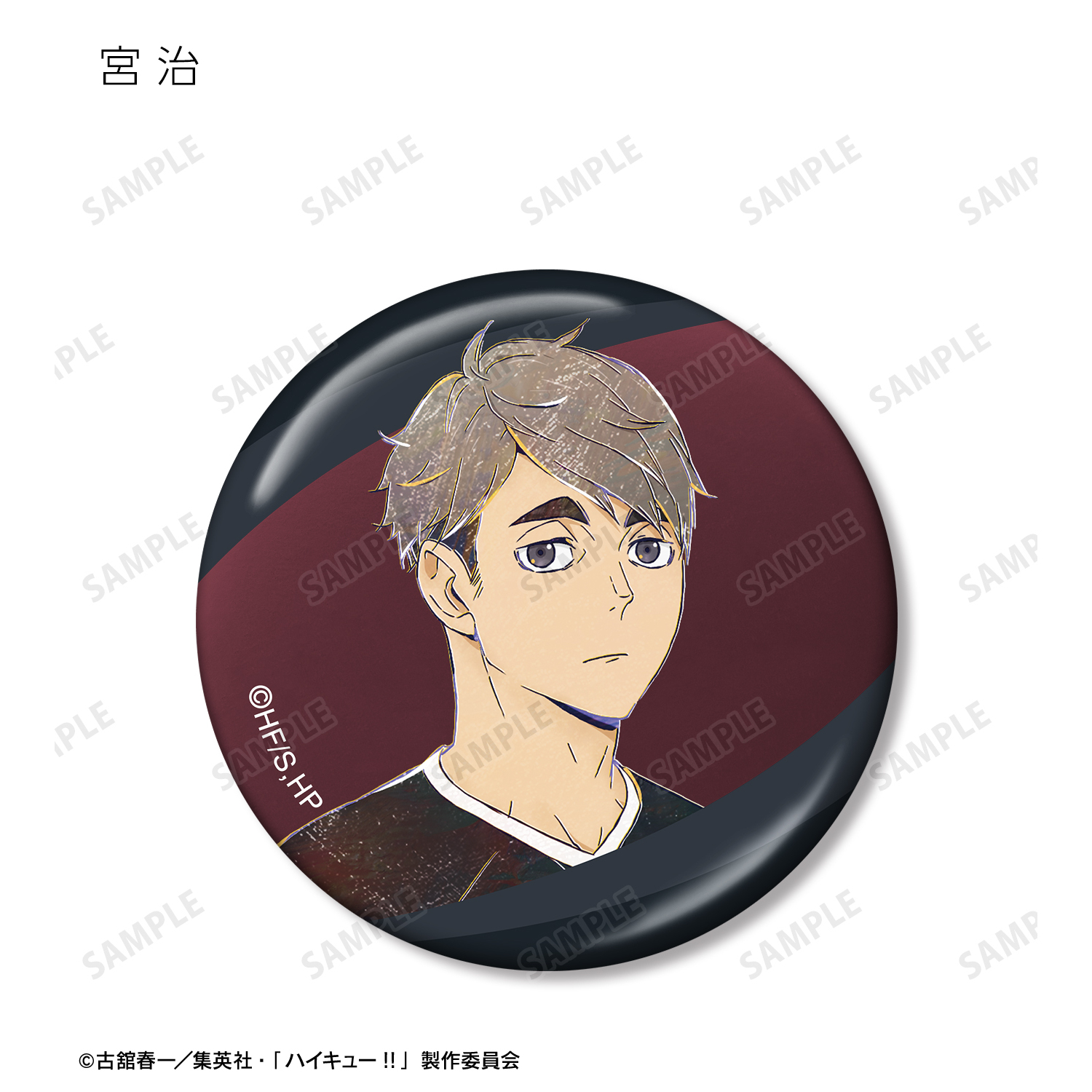 コレクション缶バッジ　ハンターハンター　ハイキュー　家庭教師　呪術回戦 ハイキュー!!_トレーディング Ani-Art 第6弾 メタリック缶バッジ