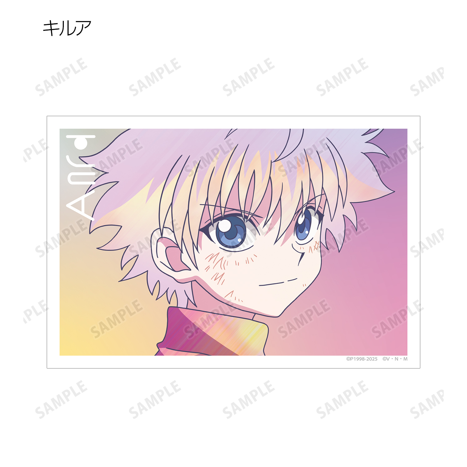 HUNTER×HUNTER_トレーディング Ani-Art clear label 第2弾