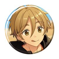 あんさんぶるスターズ！！Bright me up!!_コレクション缶バッジ［2025