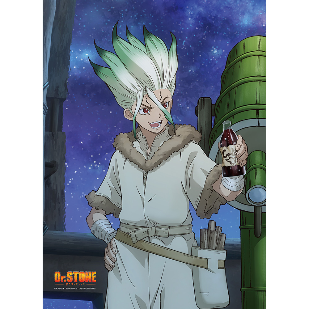 Dr.STONE_描き下ろしB2タペストリー(石神千空)