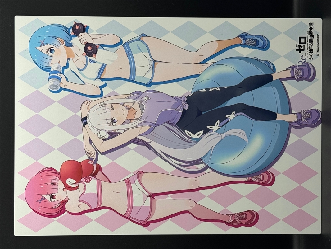 Re:ゼロから始める異世界生活_メタリアルグラフ(トレーニングウェア)