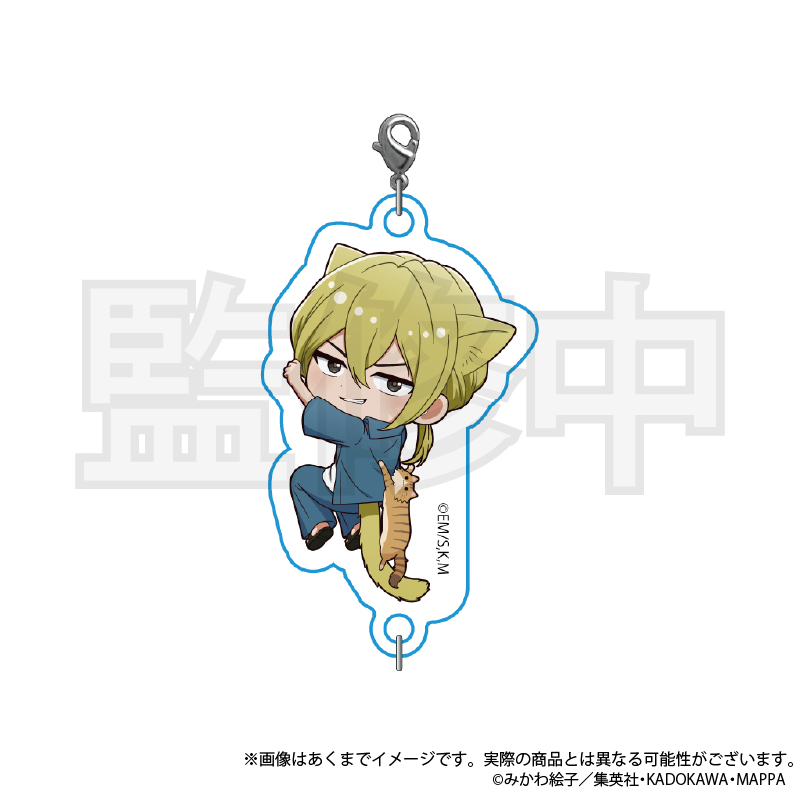 忘却バッテリー キャンバスキーホルダー ボックス BOX 忘却バッテリー』ミニチュアキャンバスキーホルダー 第1弾 全11