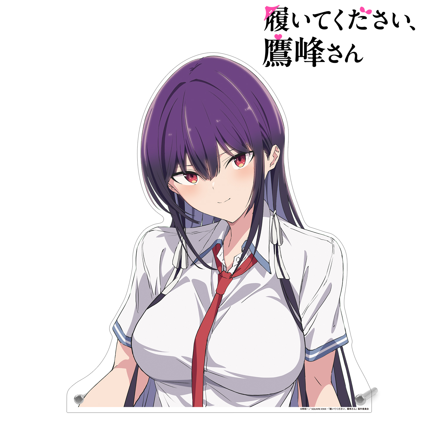 履いてください、鷹峰さん_ティザービジュアル 特大ダイカットアクリルパネル