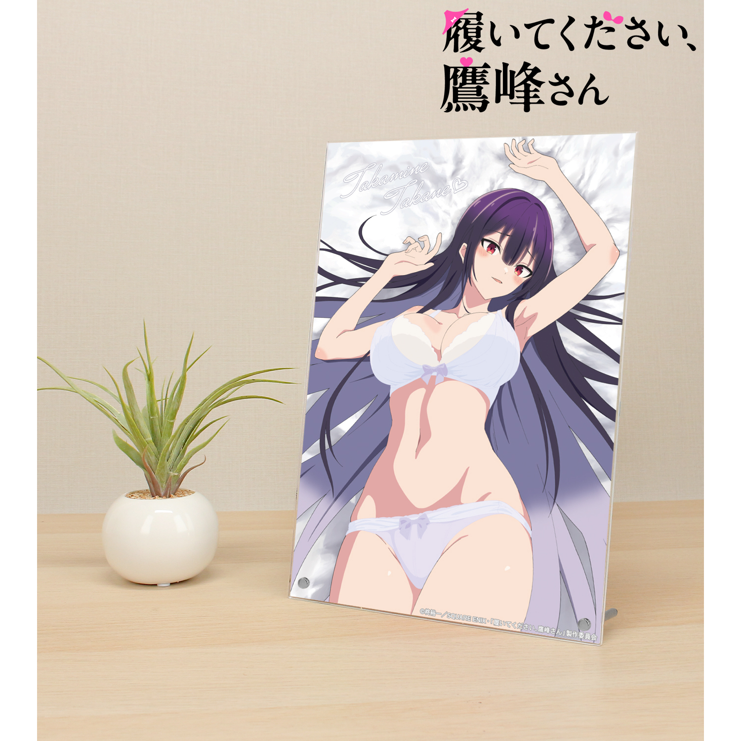 履いてください、鷹峰さん_鷹峰高嶺 A4アクリルパネル