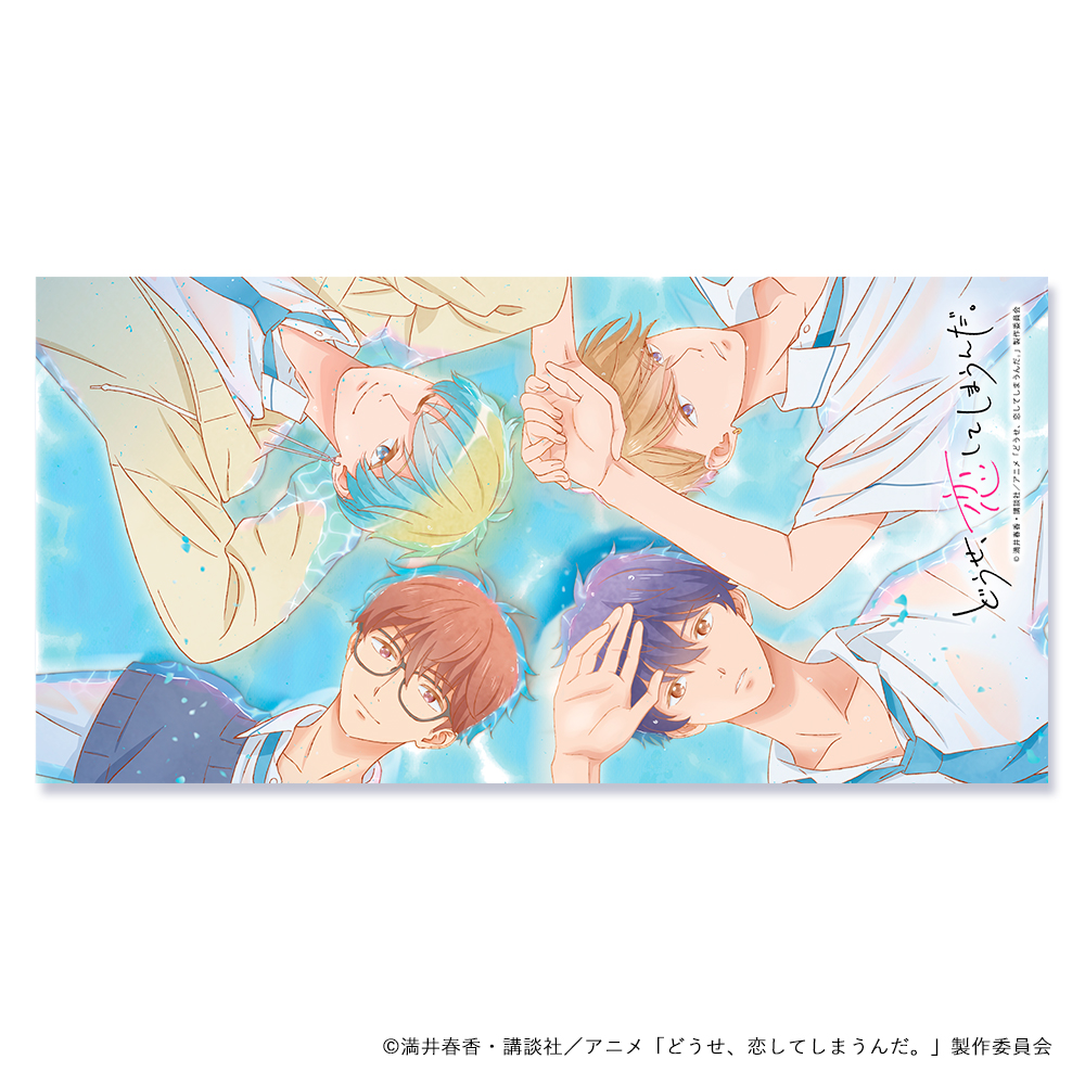 どうせ、恋してしまうんだ。_ブランケット