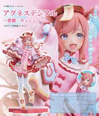 ウマ娘 プリティーダービー_アグネスデジタル -愛麗♡キョンシー- 1/6
