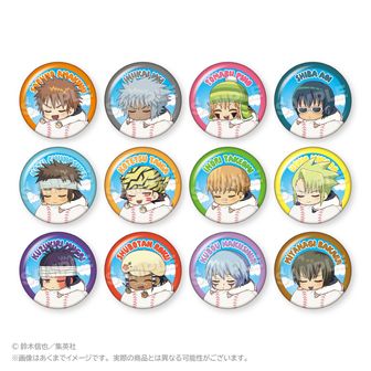 Mr.FULLSWING_トレーディングふわみん缶バッジ 【BOX／12個入り】 | Mr