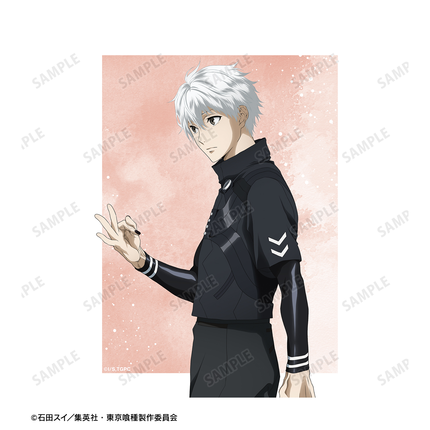 東京喰種トーキョーグール_描き下ろし 金木 研 歩みver