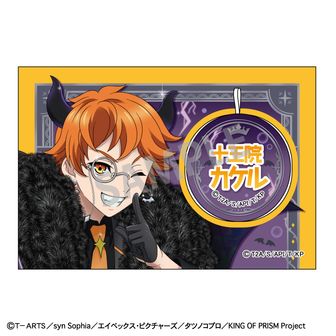 KING OF PRISM -Shiny Seven Stars-_MEGAアクリルスタンド/西園寺レオ