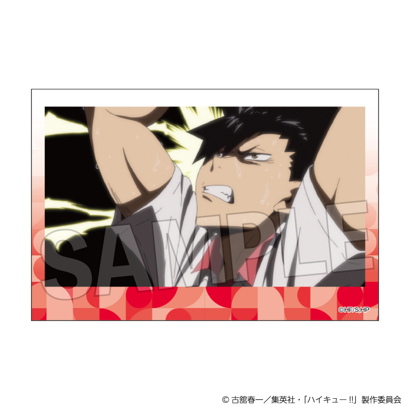 ハイキュー!!_積み積みブロック vol.8　30