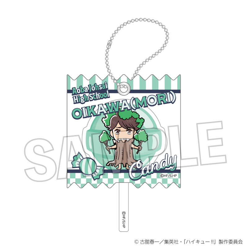 ハイキュー!!_ラッピングアクリルキーホルダー オイカワ(森