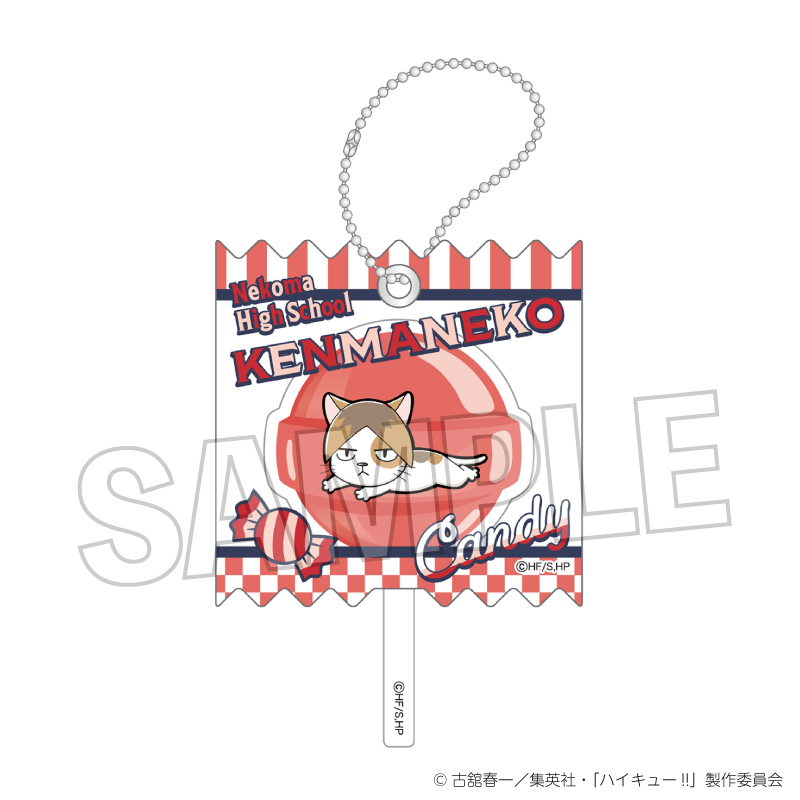 ハイキュー!!_ラッピングアクリルキーホルダー　ケンマネコ