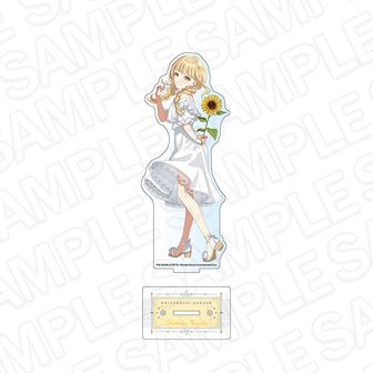 colleize（コレイズ）| 公式グッズ・公式ライセンス商品専門