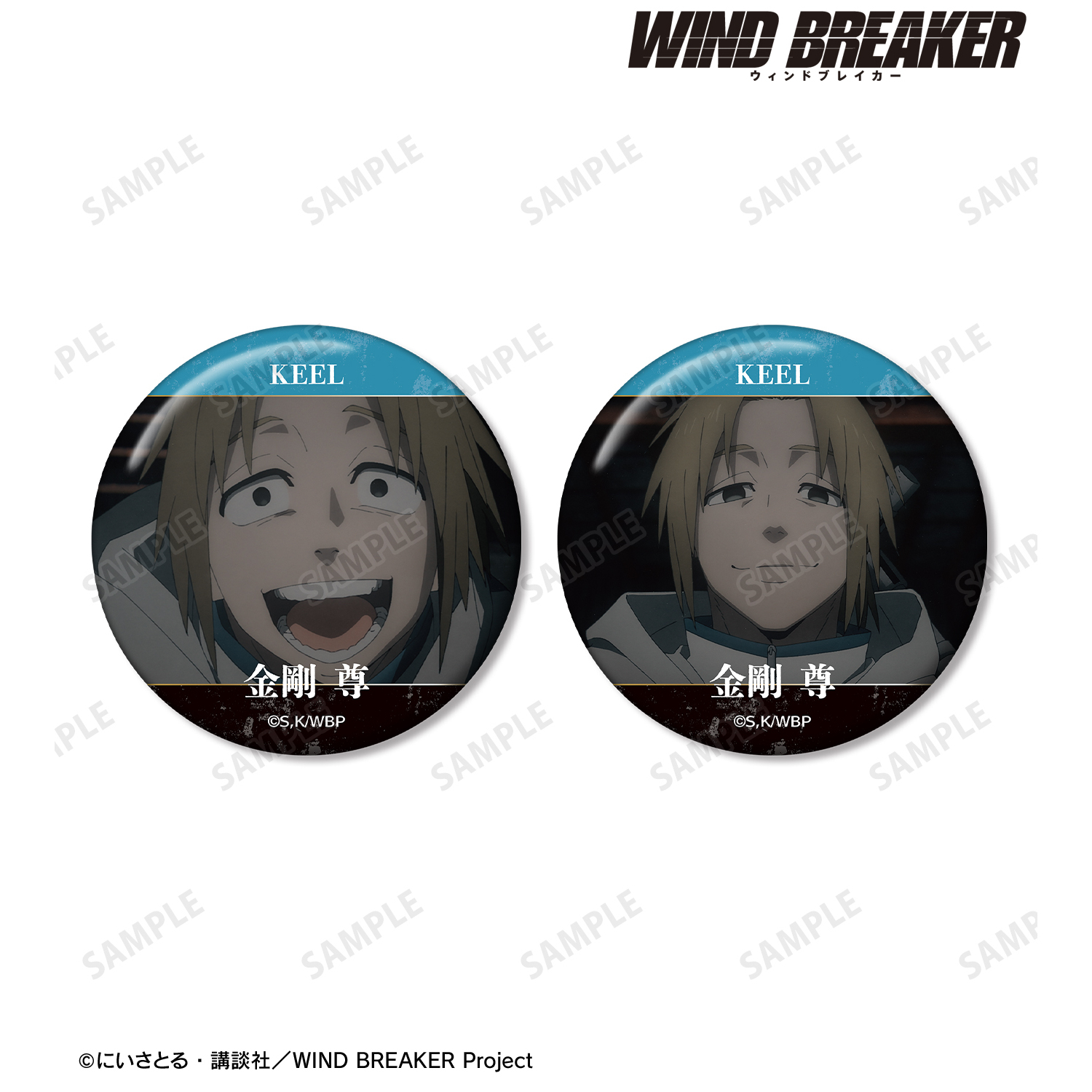フォース・ウィング 全巻セット　購入者特典小冊子付き WIND BREAKER ヴィンテージシリーズ アクリルスタンド -RPG- 桜