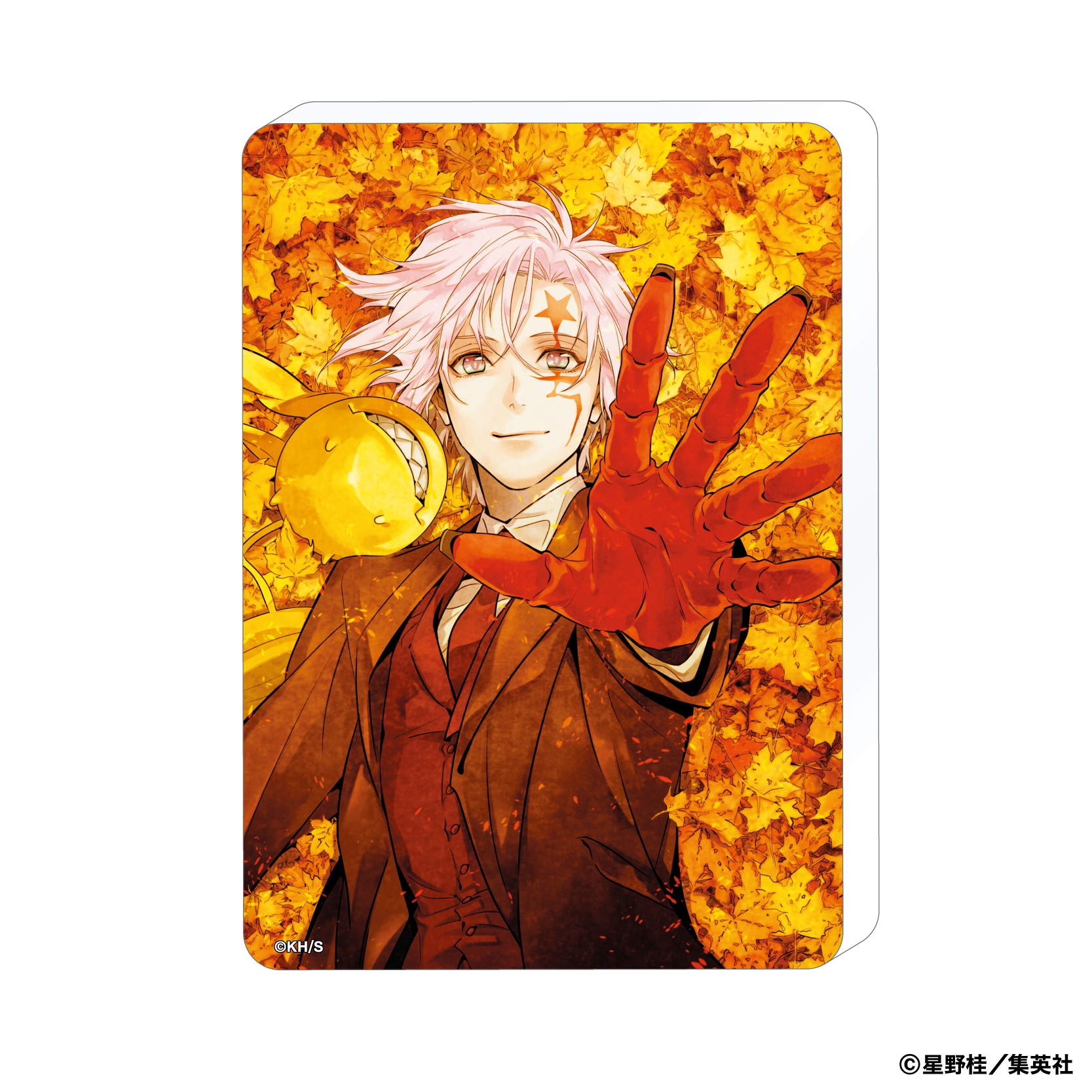 D.Gray-man_ノーブルアート／A