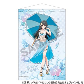やはり俺の青春ラブコメはまちがっている　一色いろは　アクリルスタンド　17点 アクリルスタンド やはり俺の青春ラブコメはまちがっている。完