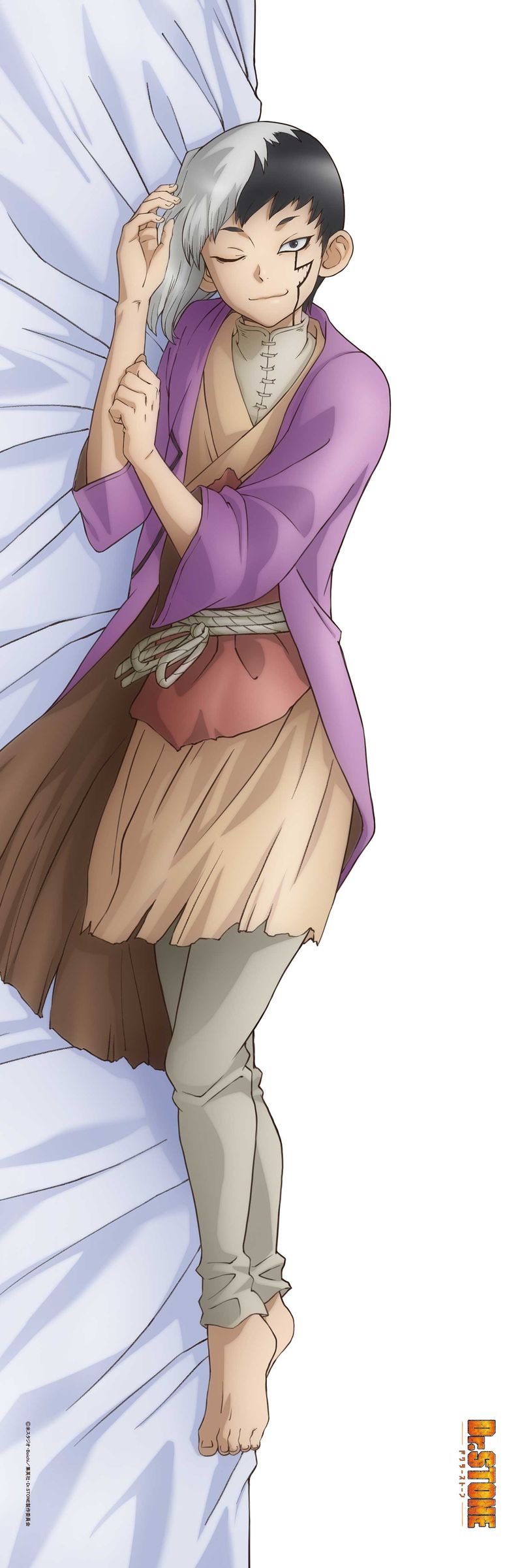 Dr.STONE_【描き下ろし】プレミアム抱き枕カバー あさぎりゲン | Dr