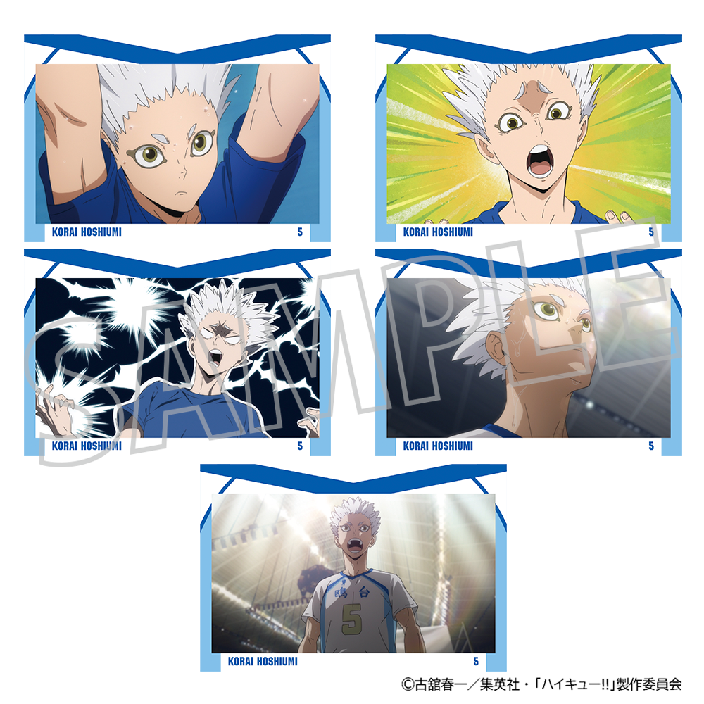 ハイキュー!!_ポストカードセット／星海光来