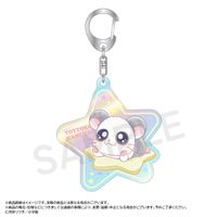 とっとこハム太郎_-Twinkle Dreams-オーロラアクリルキーホルダー【BOX