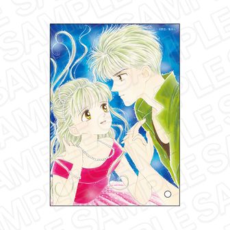 トキメキトゥナイト確認用 トキメキトゥナイト確認用 トキメキトゥナイト確認用 2025年最新