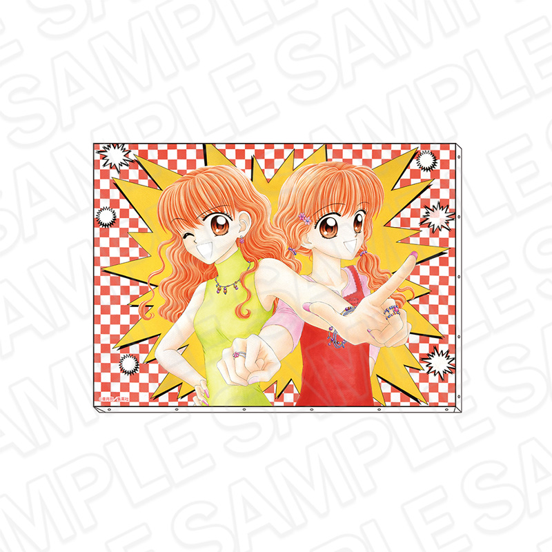 りぼん70周年記念POP UP SHOP_キャンバスアート Wピンチ‼