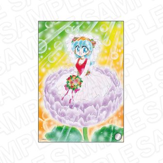 新品　りぼん70周年　松本夏実　POP UP SHOP　ドラゴンガール　缶バッジ 聖ドラゴンガール - البحث / X