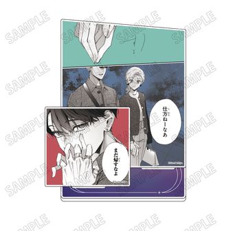 踏んだり、蹴ったり、愛したり_ぱしゃこれ【BOX／10パック入り