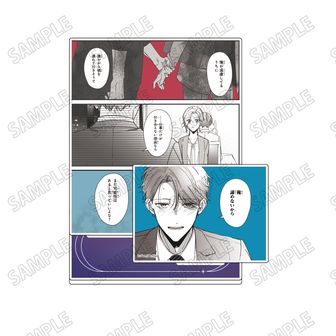 踏んだり、蹴ったり、愛したり_ぱしゃこれ【BOX／10パック入り