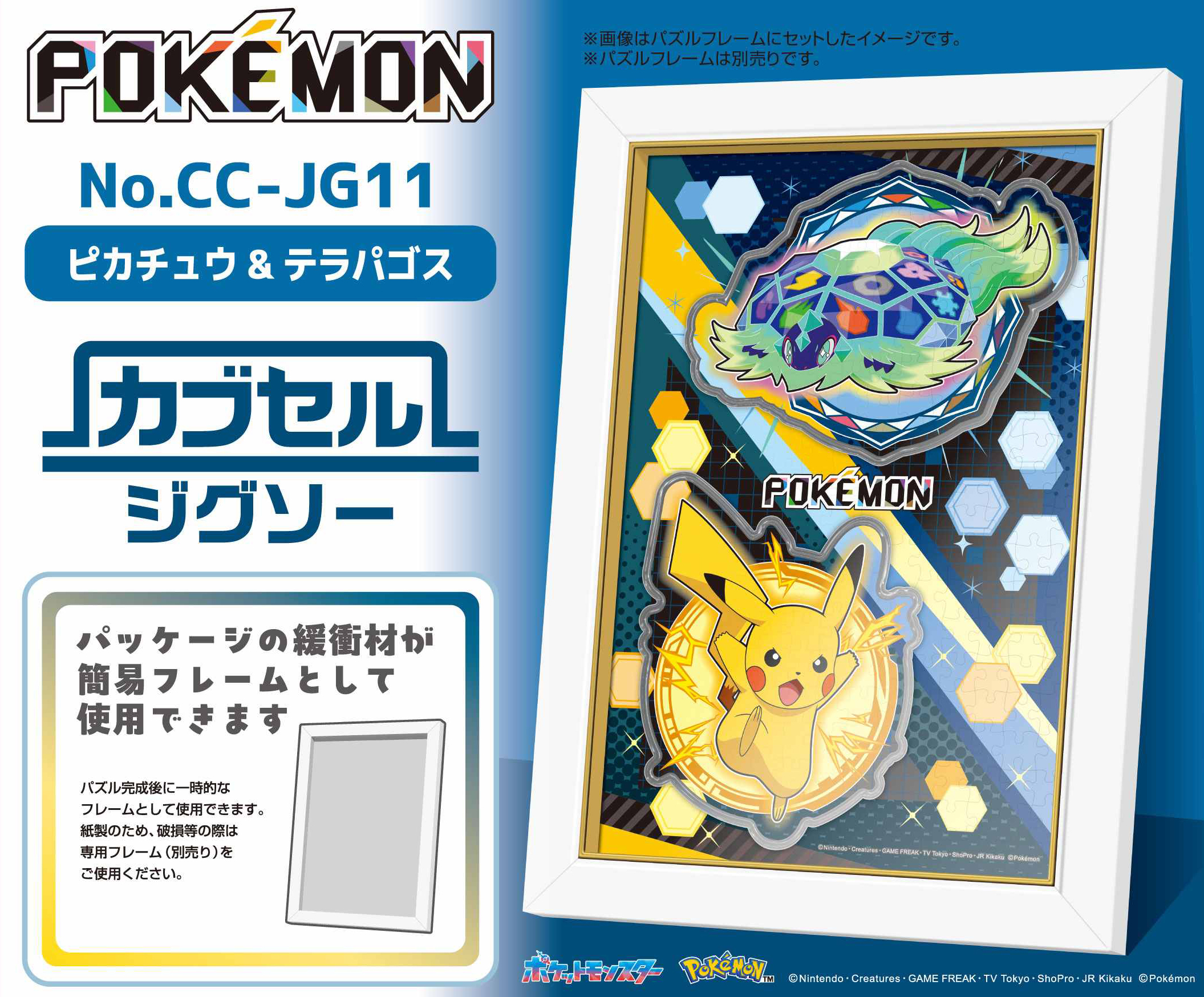 シゲです。生物 シコピゲT09｜恐竜・化石グッズの専門店 ふぉっしる