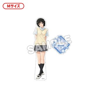 (未開封)アクリルジオラマ 集合 夏服 オーロラ アマガミ15th C106限定 未開封)アクリルジオラマ 集合 夏服 オーロラ アマガミ15th C106限定