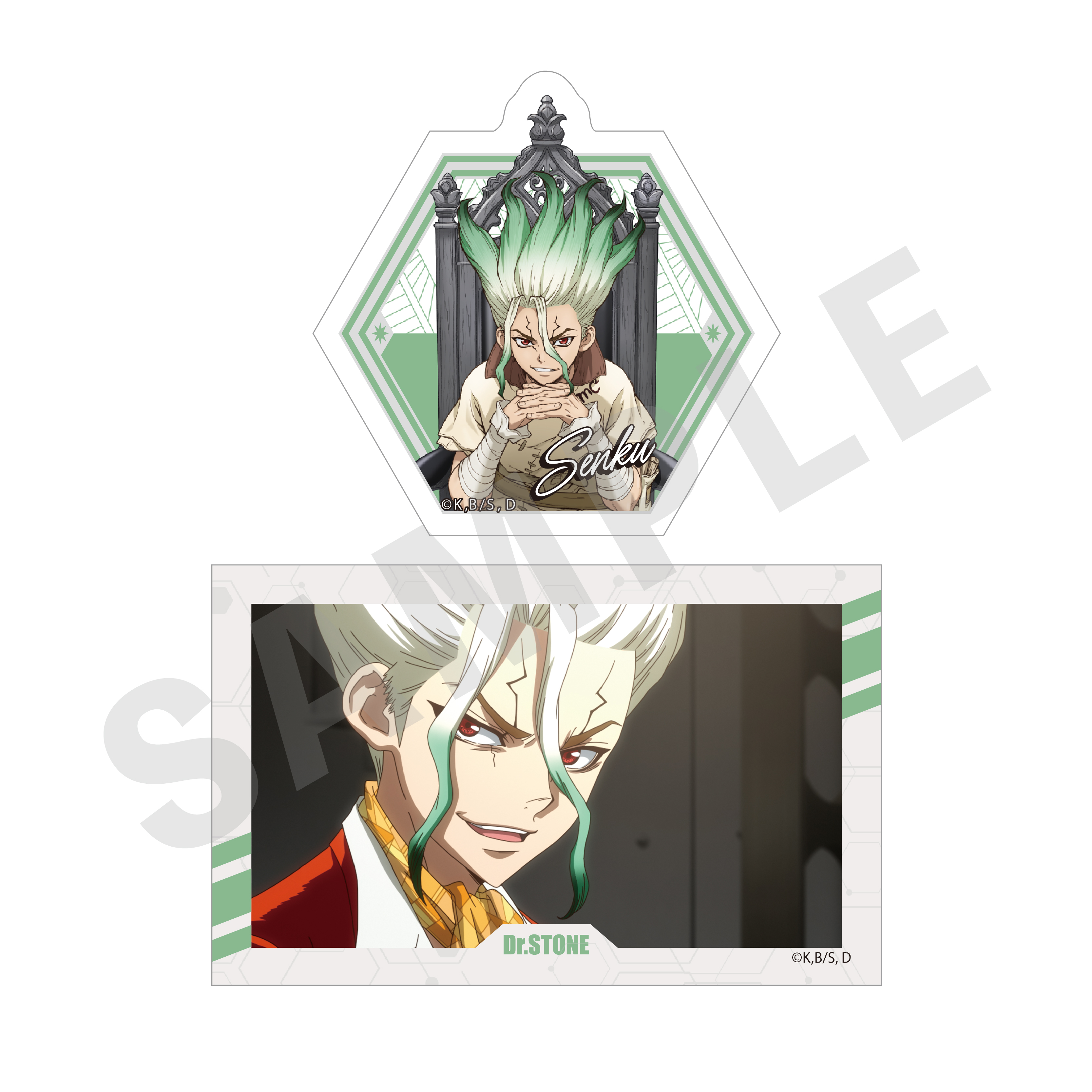 その他 Dr.STONE Dr.STONE Z=181 巻頭カラー - メルカリ