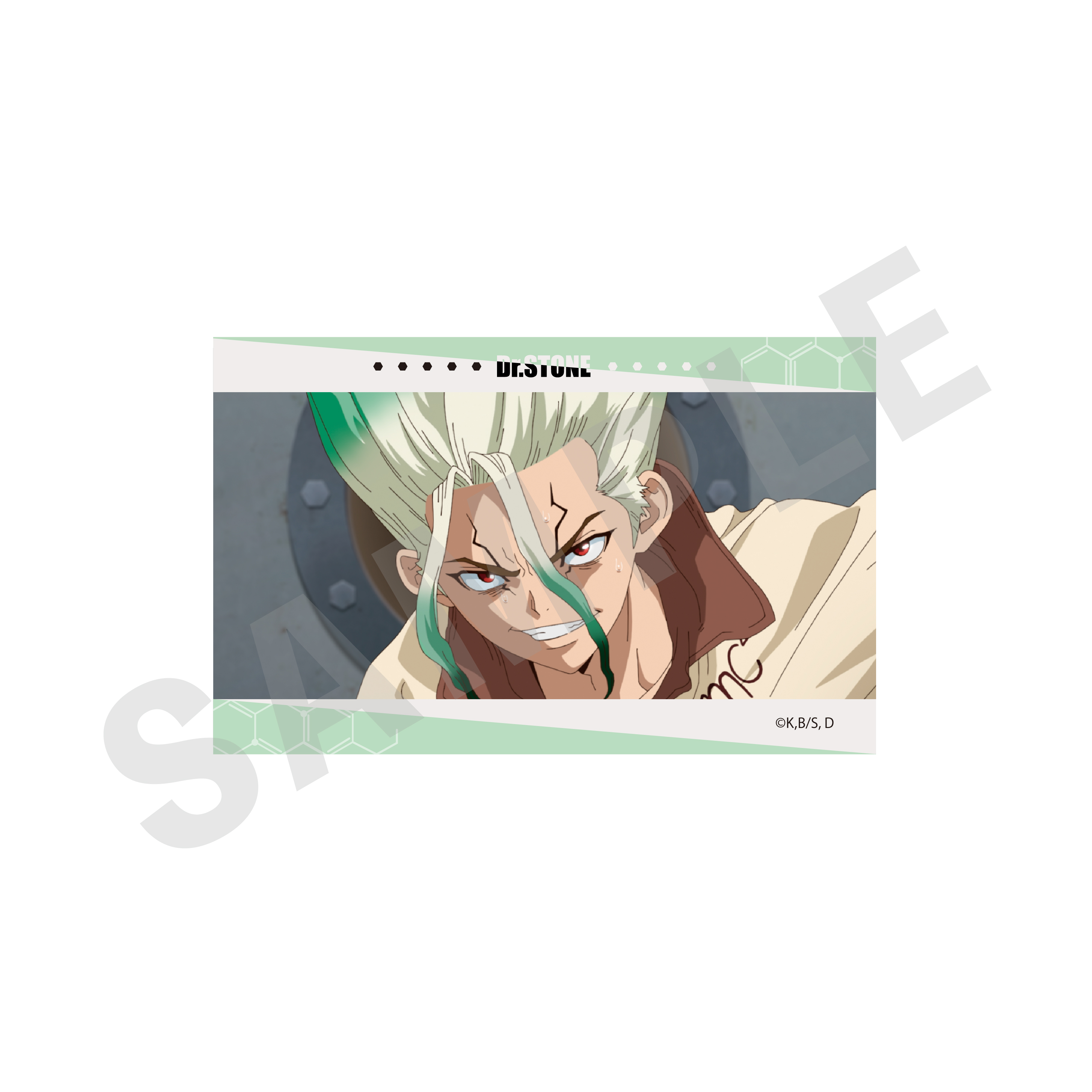 Dr.STONE_トレーディングカード （全10種）【BOX／10個入り】 | 公式