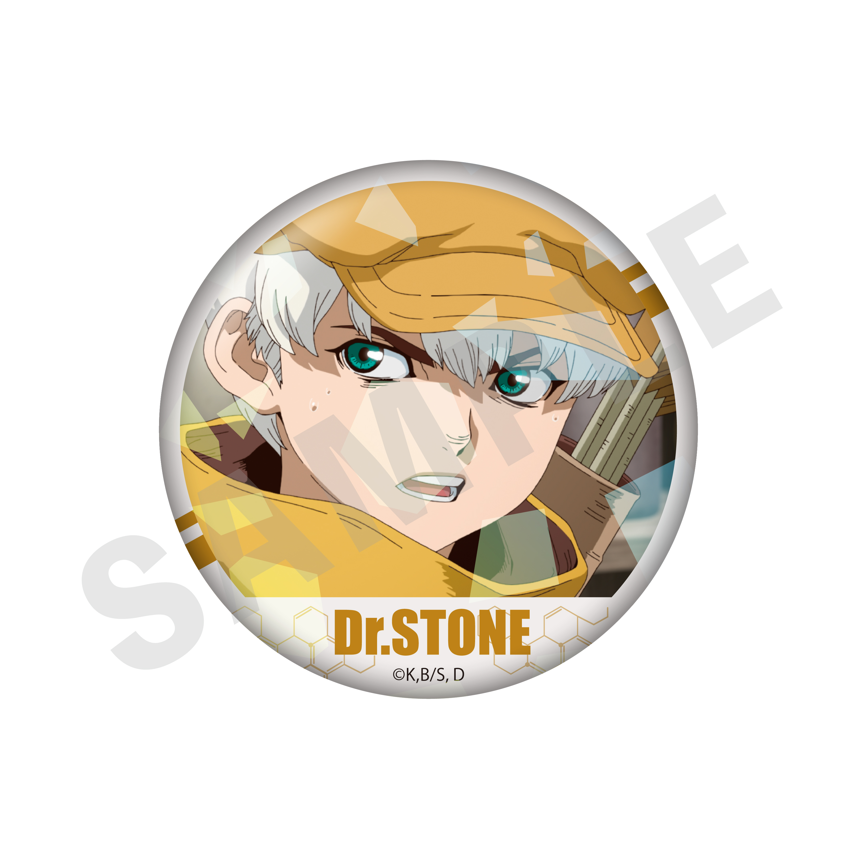 Dr.STONE 場面写 缶バッジ2 七海龍水　34個 Dr.STONE オーケストラ 缶バッジ 七海龍水 クロム - メルカリ